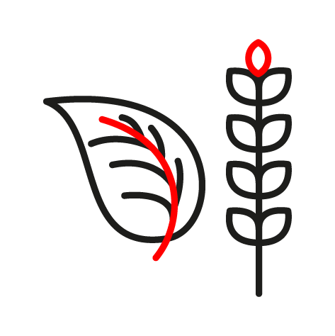 Agriculture & Farm Animals